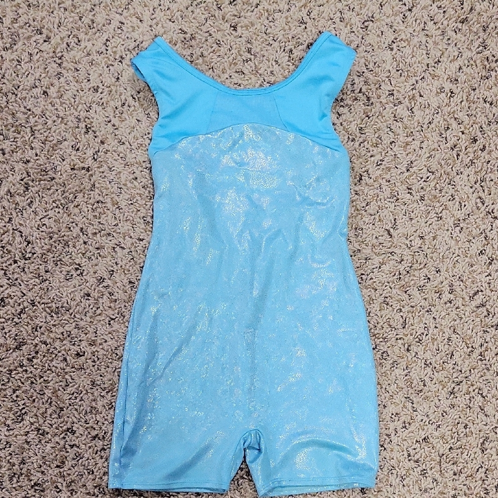 Sparkly Blue Leotard